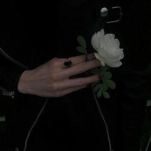 🔞🍌进🍑里❌❌❌直播
